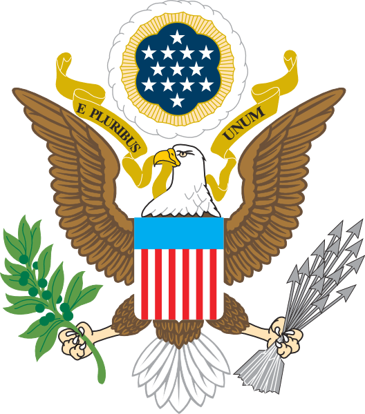 American Bald Eagle Symbol (528x600)