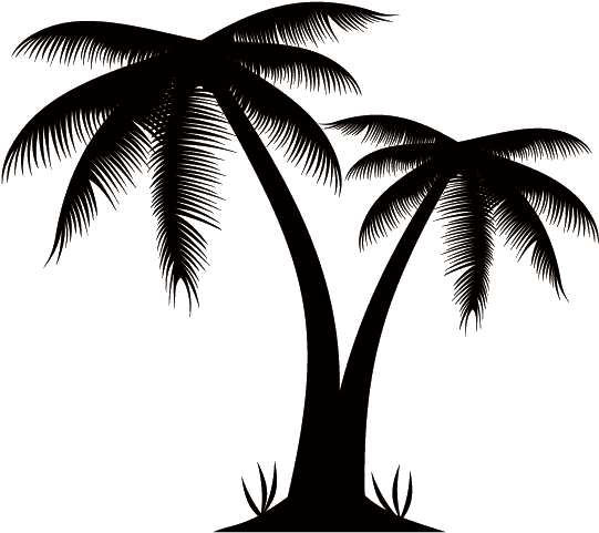 Arecaceae Euclidean Vector Stock Photography Clip Art - Palm Tree Silhouette Png (548x548)