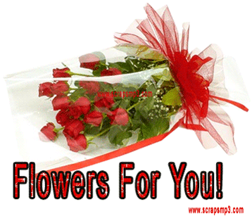 Beautiful Rose - Beautiful Rose (450x336)