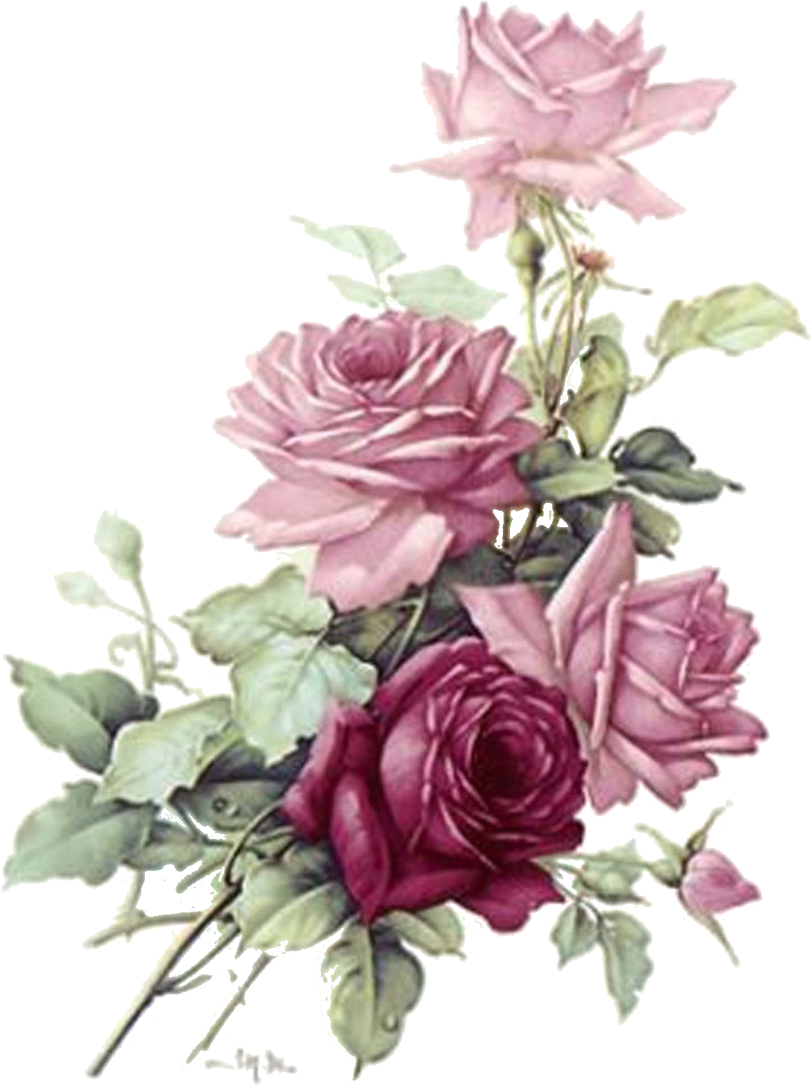 San Do Pink Rose Bouquet Flower Select A Size Ceramic - Pink Rose Vintage Png (1255x1600)