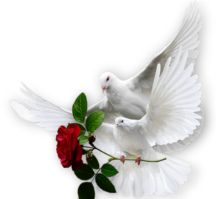 White Doves, Holy Spirit, Decoupage, Beautiful Things, - Днем Счастья 20 Марта (600x387)