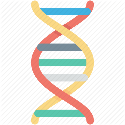 Dna Helix Clipart - Dna Helix (512x512)