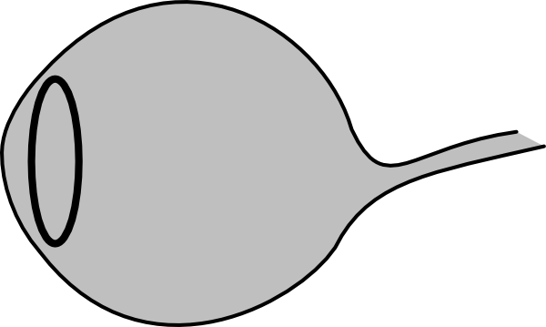 Eye Ball Clip Art For Kids Free - Clip Art (600x359)