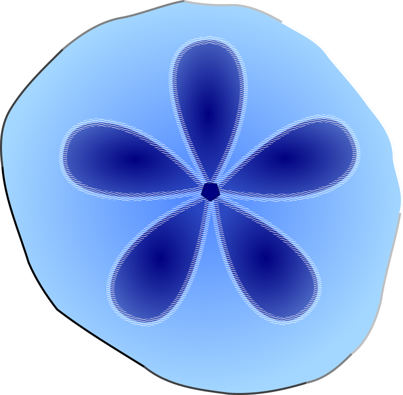 Sand Dollar Clip Art Sand Dollar Clip Art At Clker - Tri Fold Brochure Sizes (800x785)