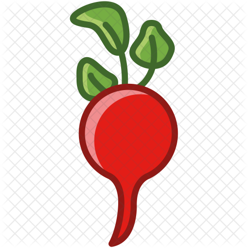 Radish Icon - Clip Art (512x512)