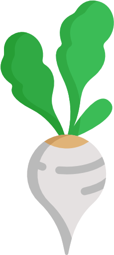 040 Radish Icon - Carrot (512x512)