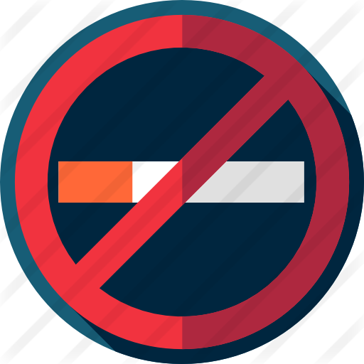 No Smoking - Stussy (512x512)