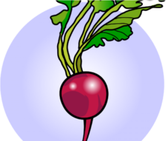 Radish Clipart - Beet Greens (640x480)