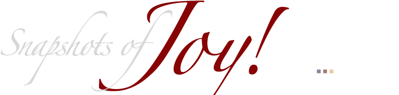 Design De Interiores (800x193)