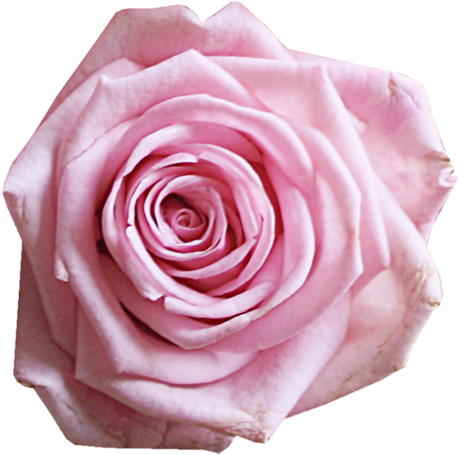 [ Img] - Img (500x491)