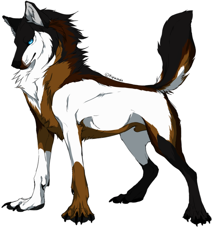 Wolf Coloring Pages Free Coloring Pages - Anime Wolf Male (800x783)