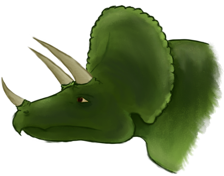 Have A Triceratops - Cartoon (800x671)