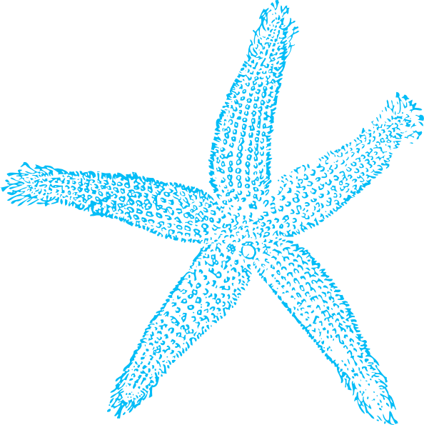 Blue Starfish Svg Clip Arts 594 X 595 Px - Blue Sea Star Png (594x595)