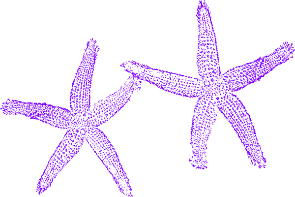 Starfish Clipart Three - Beach Wedding Welcome Bag (600x400)