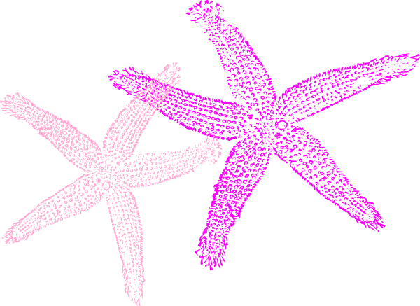 Two Pink Starfish Clip Art At Clker - Fish Clip Art (600x437)