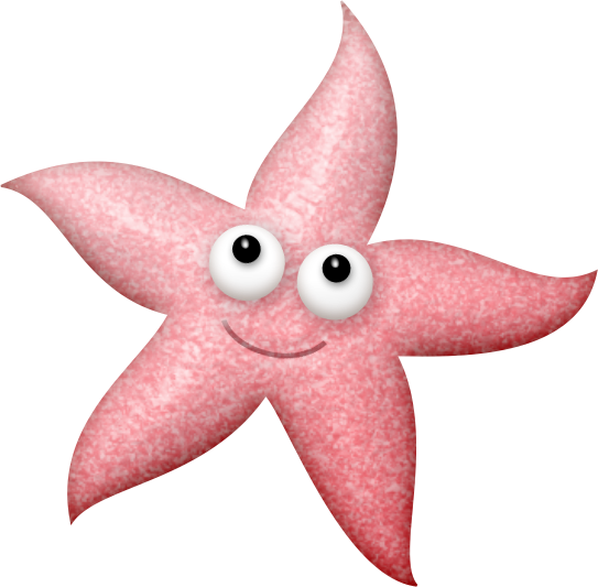 Photo By @luh-happy - Transparent Background Starfish Clipart (543x533)