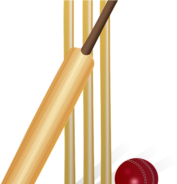 Cup Clipart Cricket - Day Without Cricket Throw Blanket (768x600)