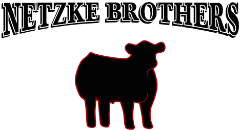 Netzke Brothers Cattle Winners - Show Cattle Clip Art (473x272)