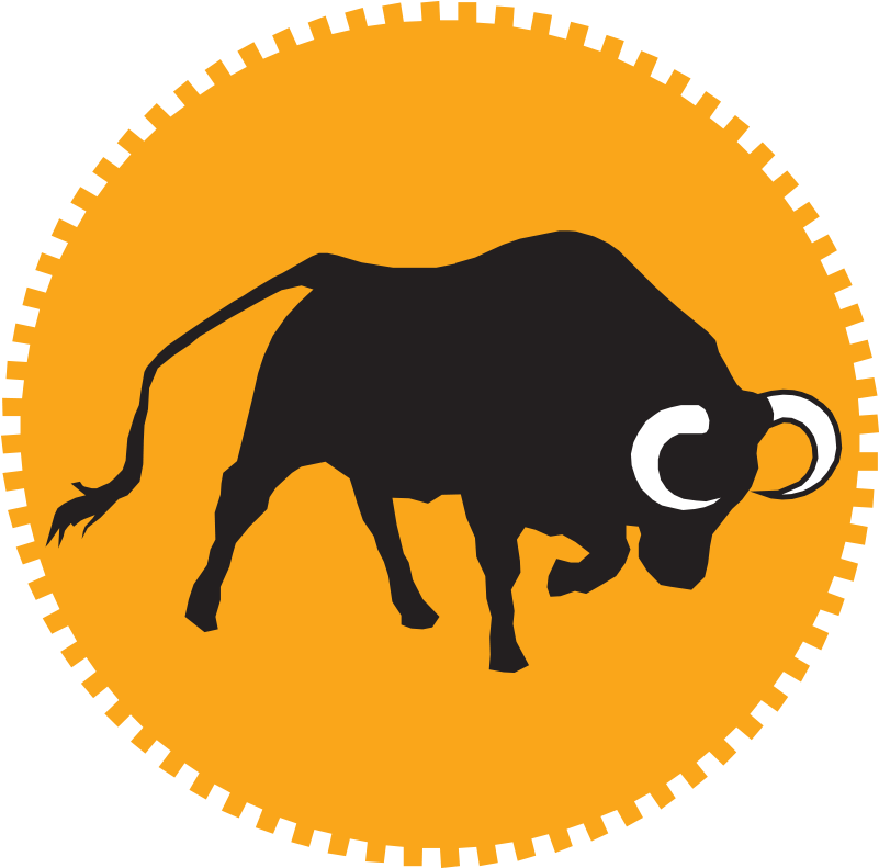 Logo-big - Toro Dorado (800x800)