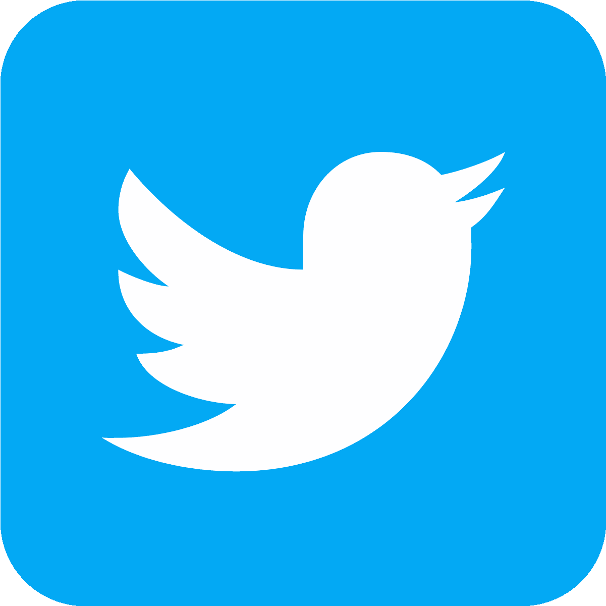 Twitter Squared Icon - Twitter App Icon Transparent (1600x1600)