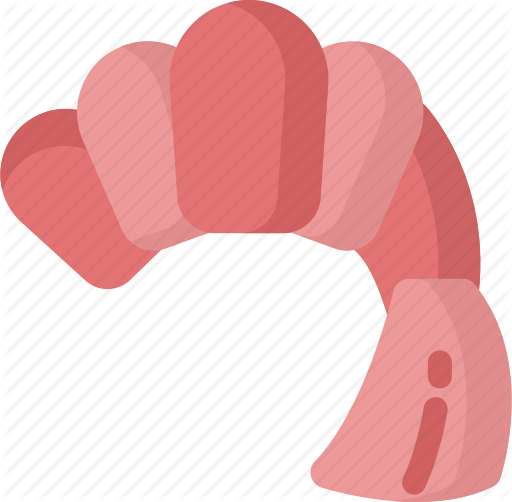 Shrimp Clipart Fish Cooking - Food (512x502)