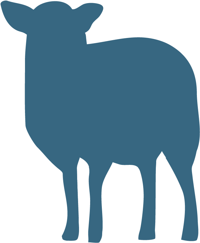 Sheep (1200x1200)