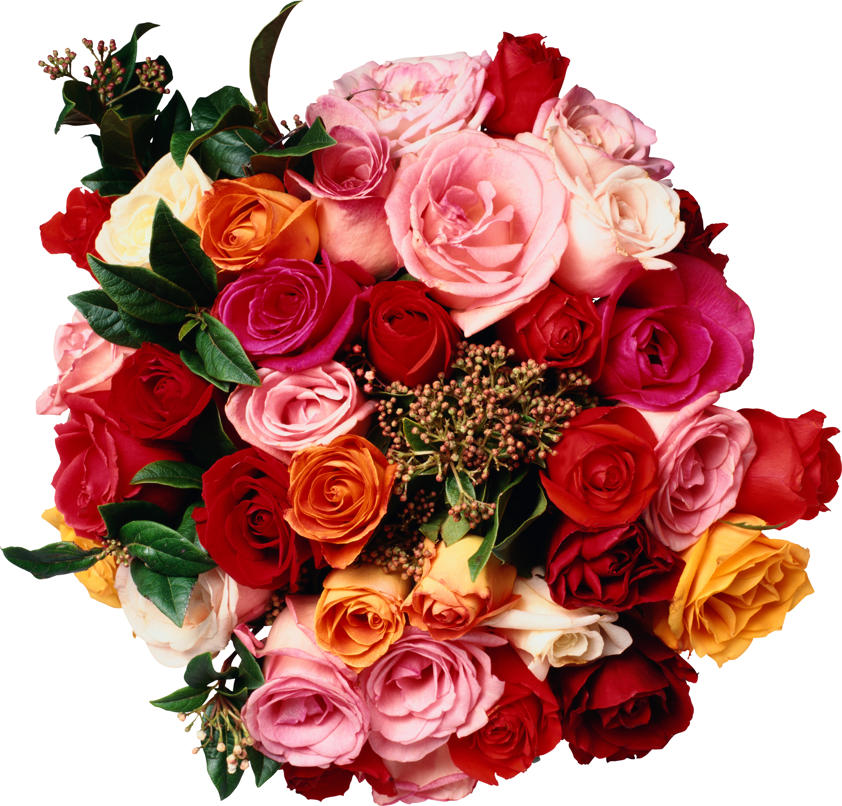 Teach Yourself Flower Arranging, New Edition Flower - Get Started With Flower Arranging By Judith Blacklock (2835x2835)