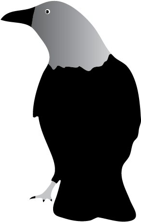 Cute Raven Clipart - Clip Art (508x508)