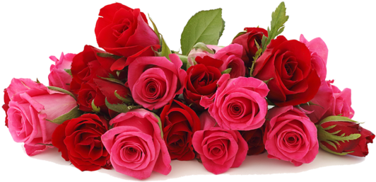 Creative Flowers By Amodio's Is A Full Service Flower - Pink And Red Roses (600x263)