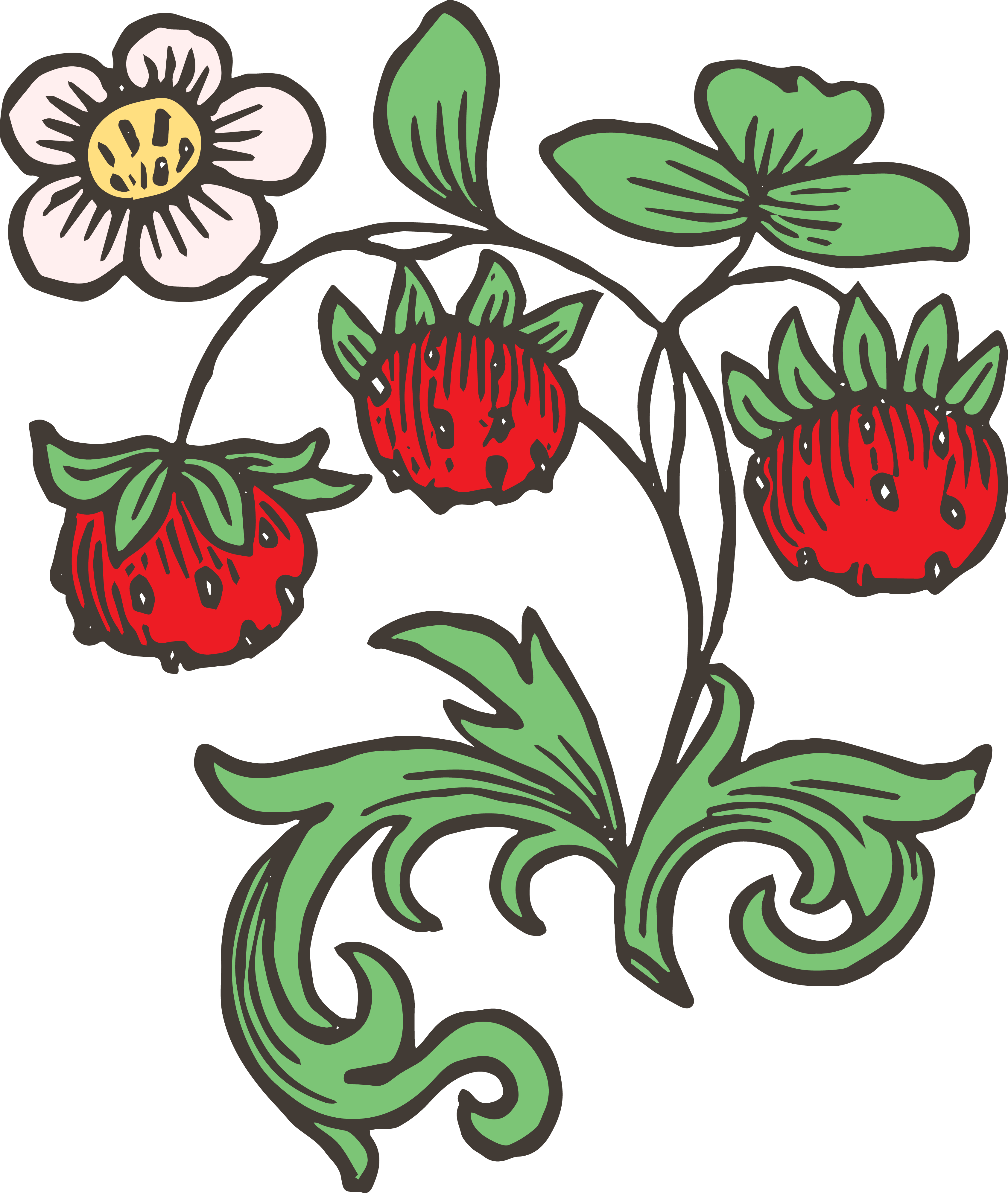 Download Royalty Free Images Vintage Strawberries Clip - Art Nouveau Strawberry Flower (3369x3989)