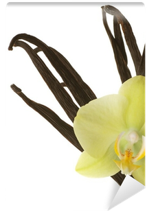 Isolated On A White Background Wall Mural • Pixers® - Yellow Orchids Background (400x400)