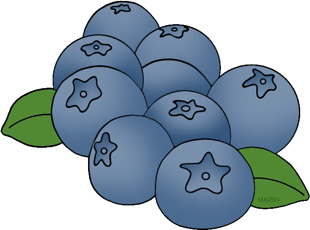 Huckleberry Fruit Clipart (648x482)