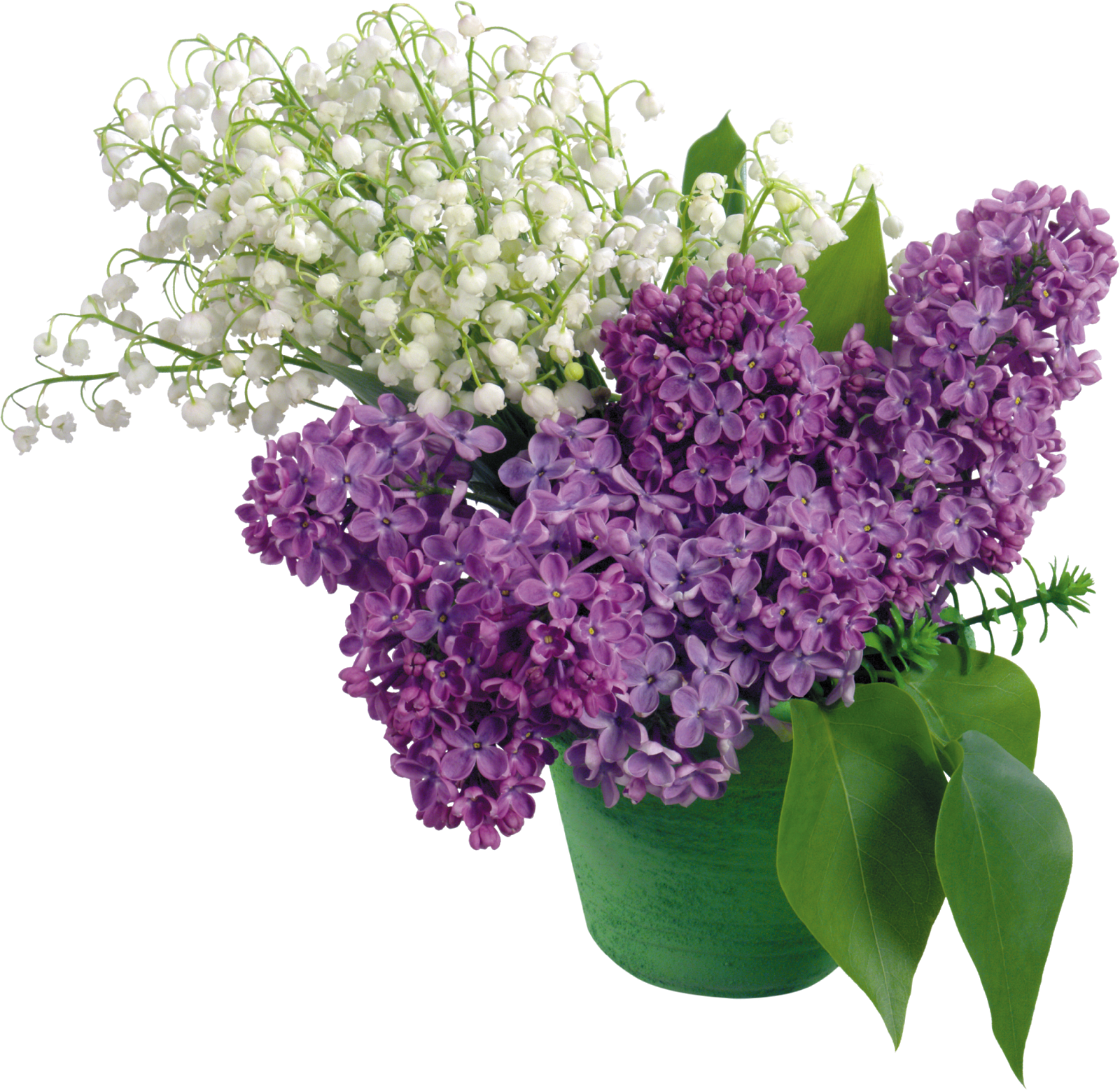 Flores Blancas Y Lilas Png - Versete Pentru La Multi Ani (1600x1557)