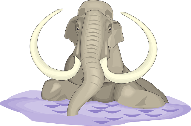 Tusks Water, Elephant, Animal, Ancient, Tusks - Elephant Tusk Clip Art (640x425)