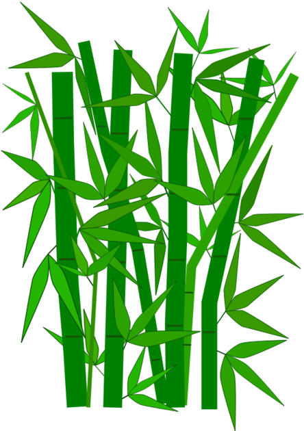 대나무 그래픽 - Bamboo Leaves Clip Art (456x644)