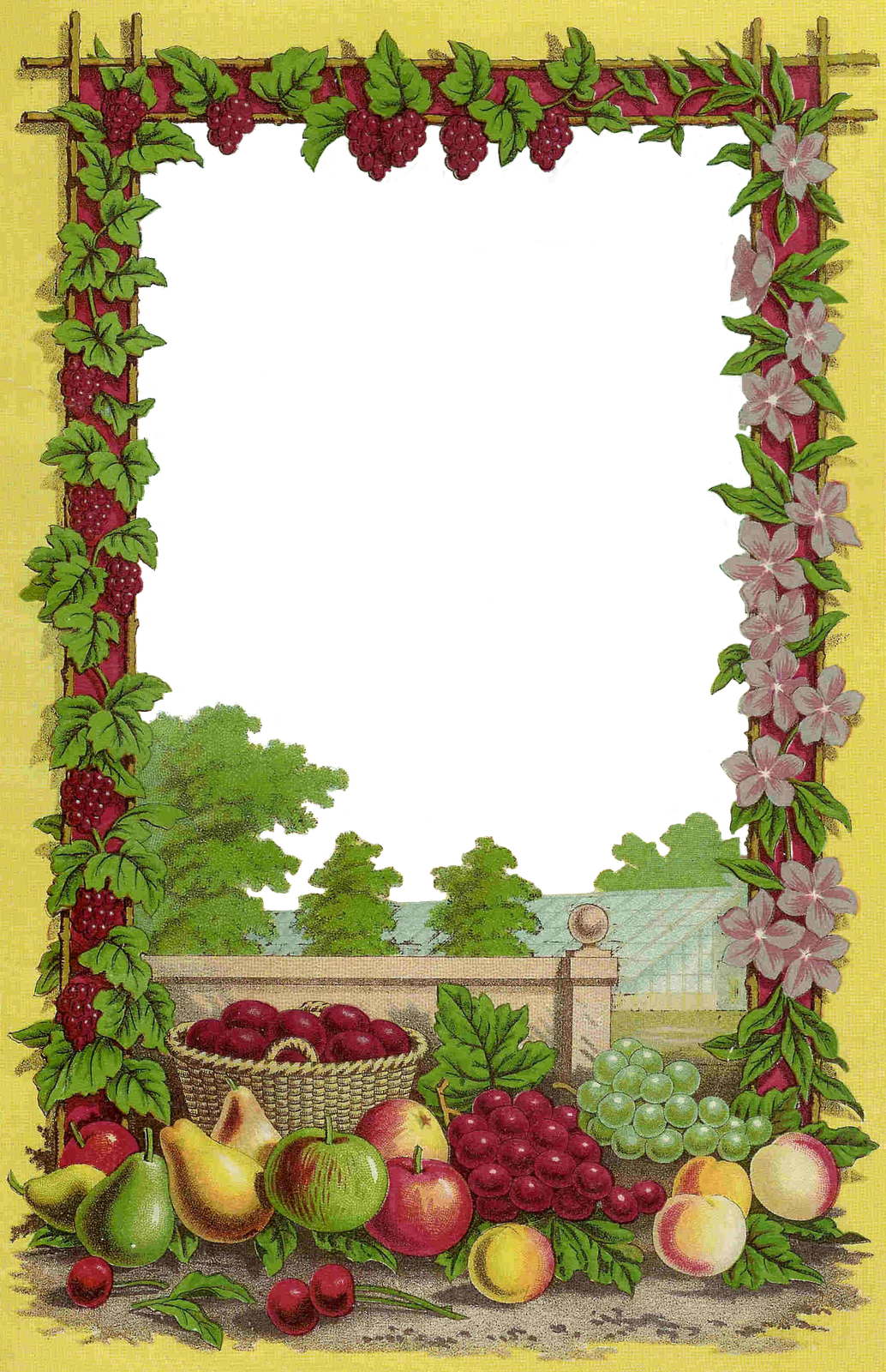 Borders/frames - Fruits Borders And Frames (1034x1600)