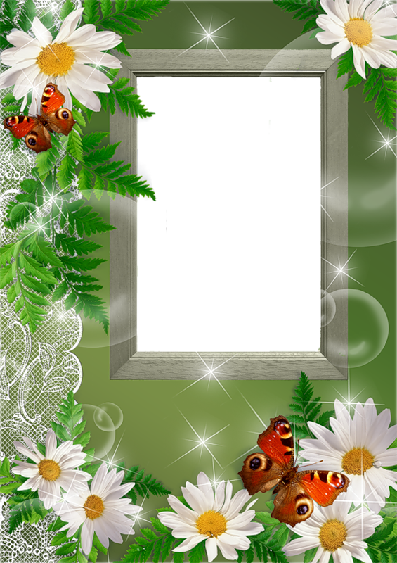 Frame Nice (565x800)