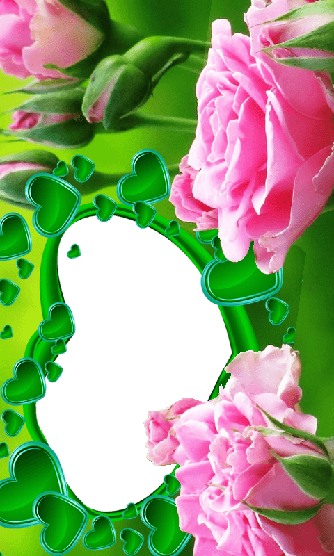 Rose Flower Frames - Rose (480x800)