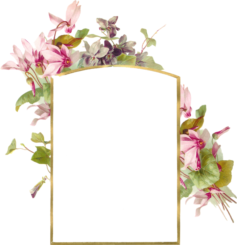 Frame With Pink Flowers - Flower Borders And Frames (768x792)