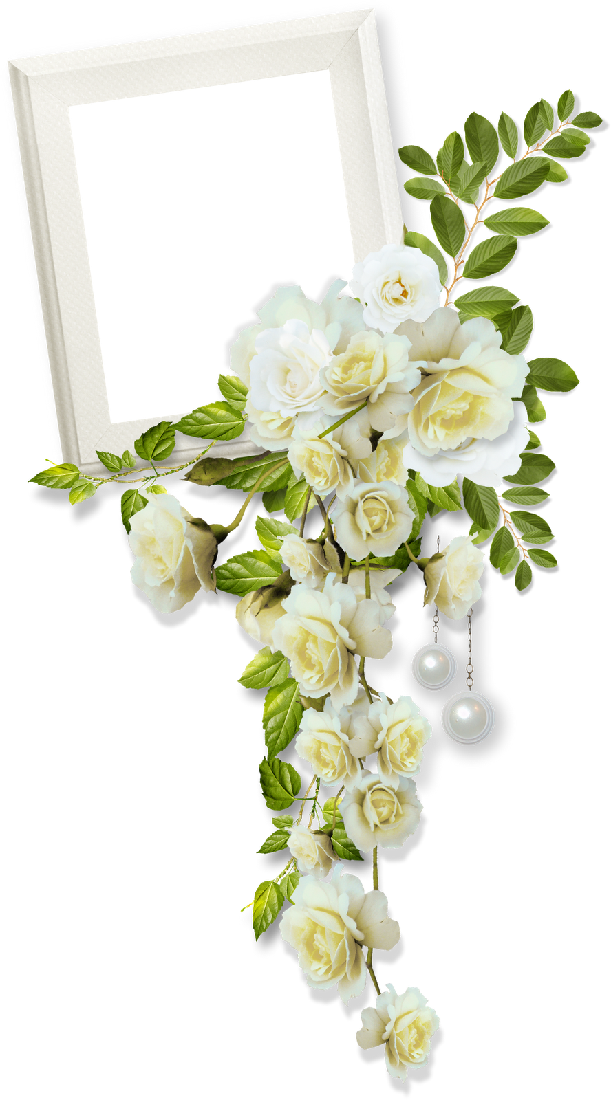 Picture Frame (888x1600)