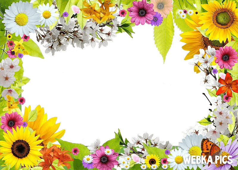 Flower Photo Frames Webka Photo Frames Online App For - Flower Photo Frame Online (800x572)