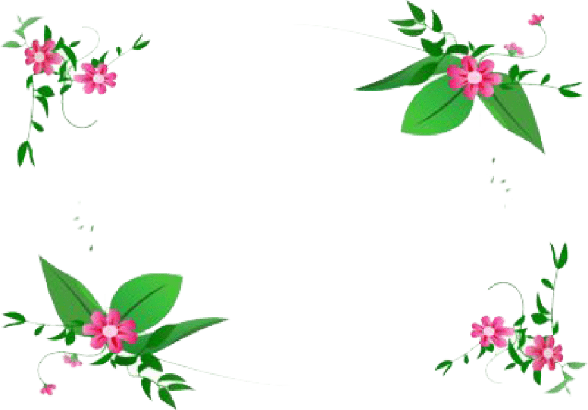 Free Png Flowers Borders Png Images Transparent - Transparent Background Png Flower Frames (850x593)