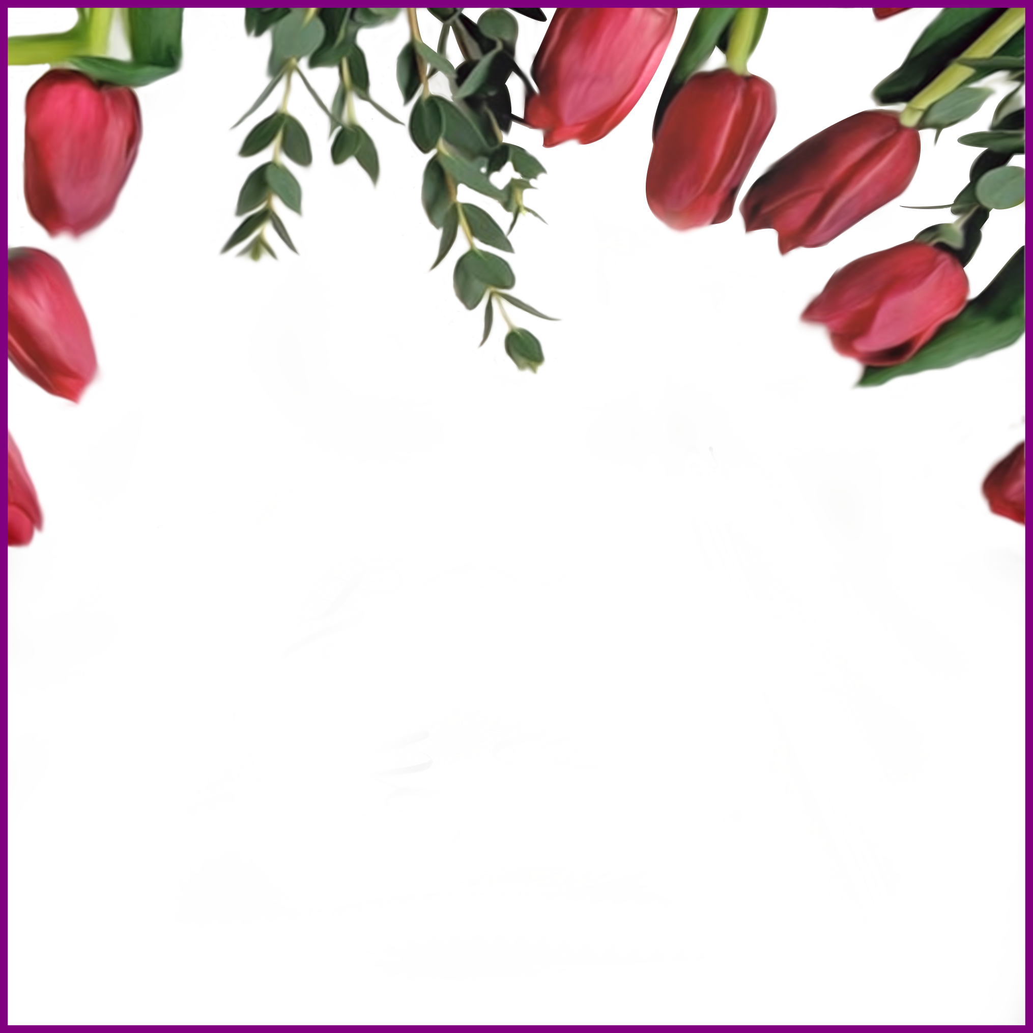Appealing Red Tulips Border On Transparent Background - Fritillaria (2030x2030)