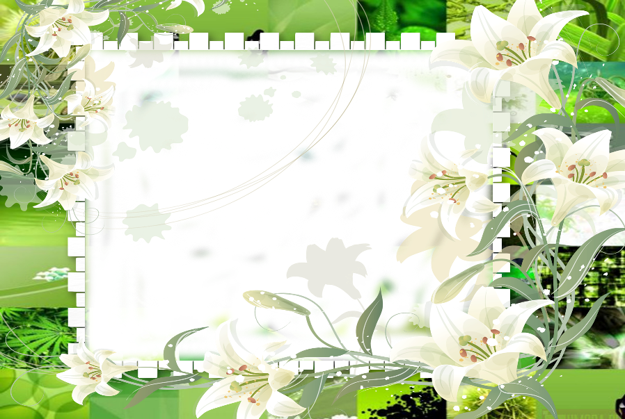 Flowers Photos Frames - Peer Alauddin Siddiqui (898x603)