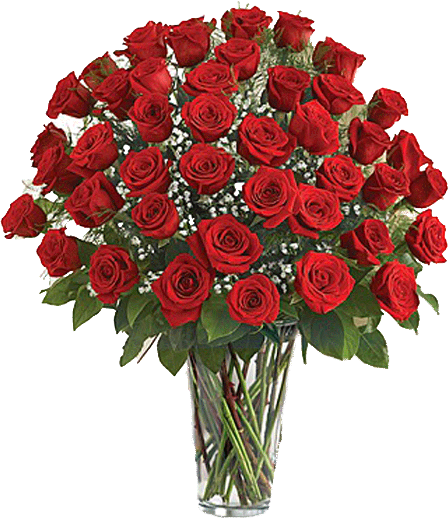48 Premium Roses Arrangement - 4 Dozen Red Roses (1024x1024)