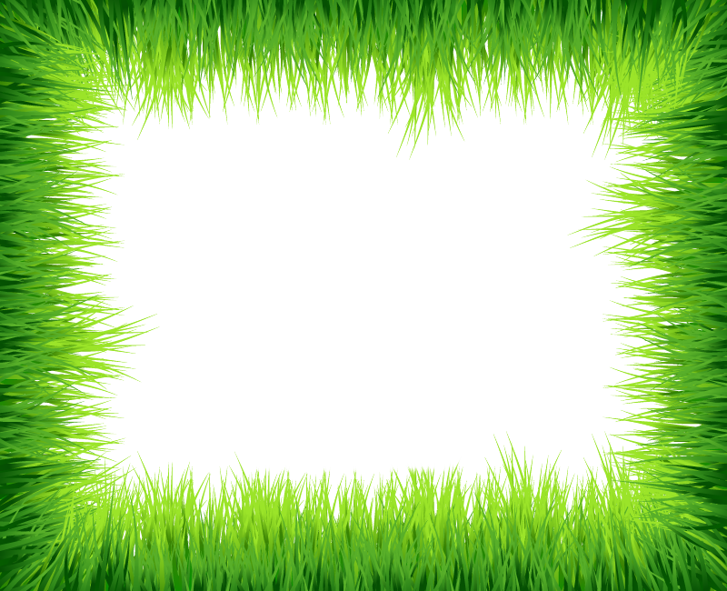 Green Border Frame Png Photos Png Mart - Green Grass Border (800x650)