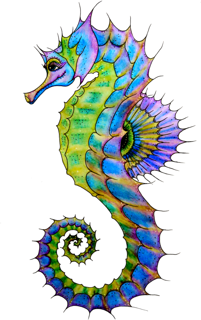 Photo Gallery Of - Sea Horse Art (691x1155)