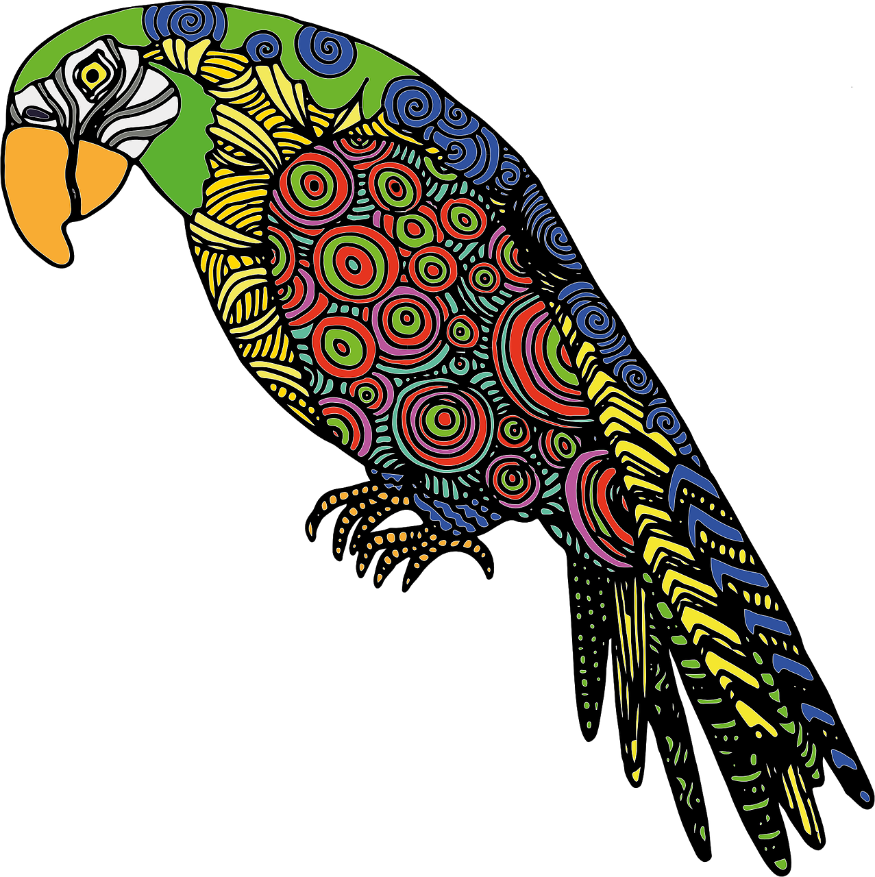 Parrot Bird Colored Drawing Png Image - Parrot Svg (1277x1280)