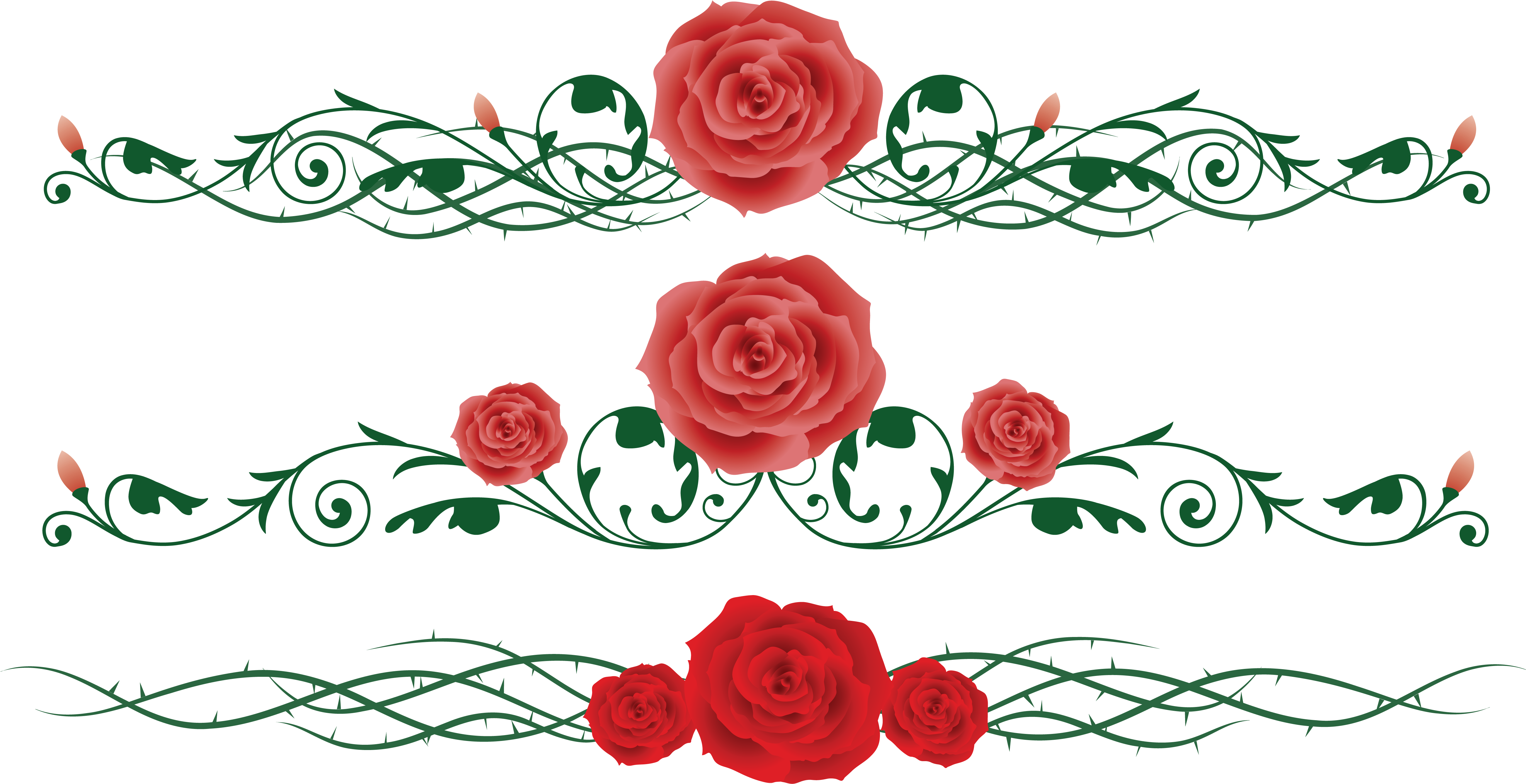 Rose Vine Flower Thorns, Spines, And Prickles Clip - Free Rose Vine (5206x2685)