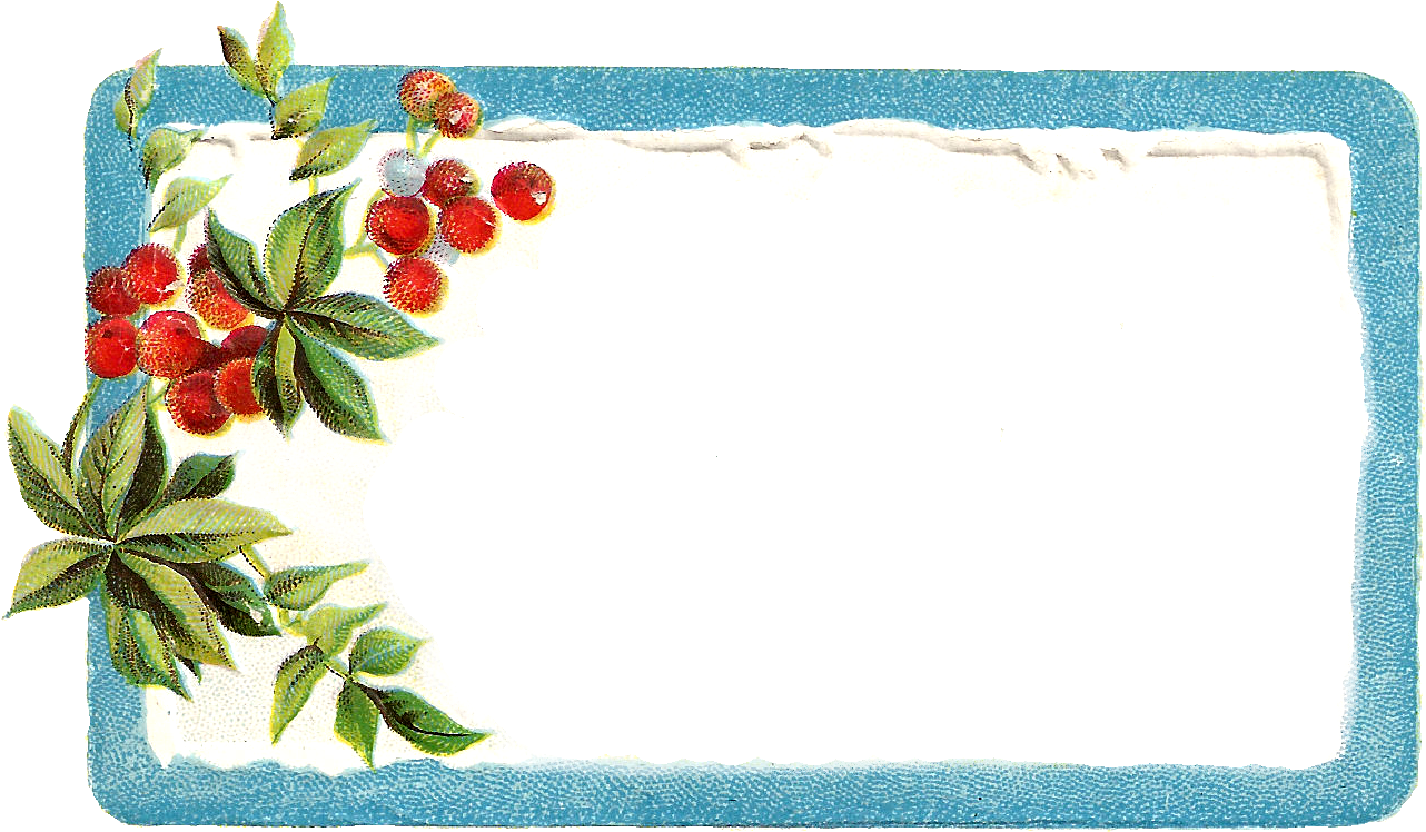 Poinsettia Clipart Christmas Gift Tag - Vintage Transparent Christmas Photo Frame (1390x867)